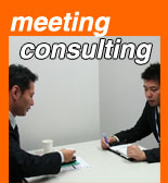 meeting consulting
